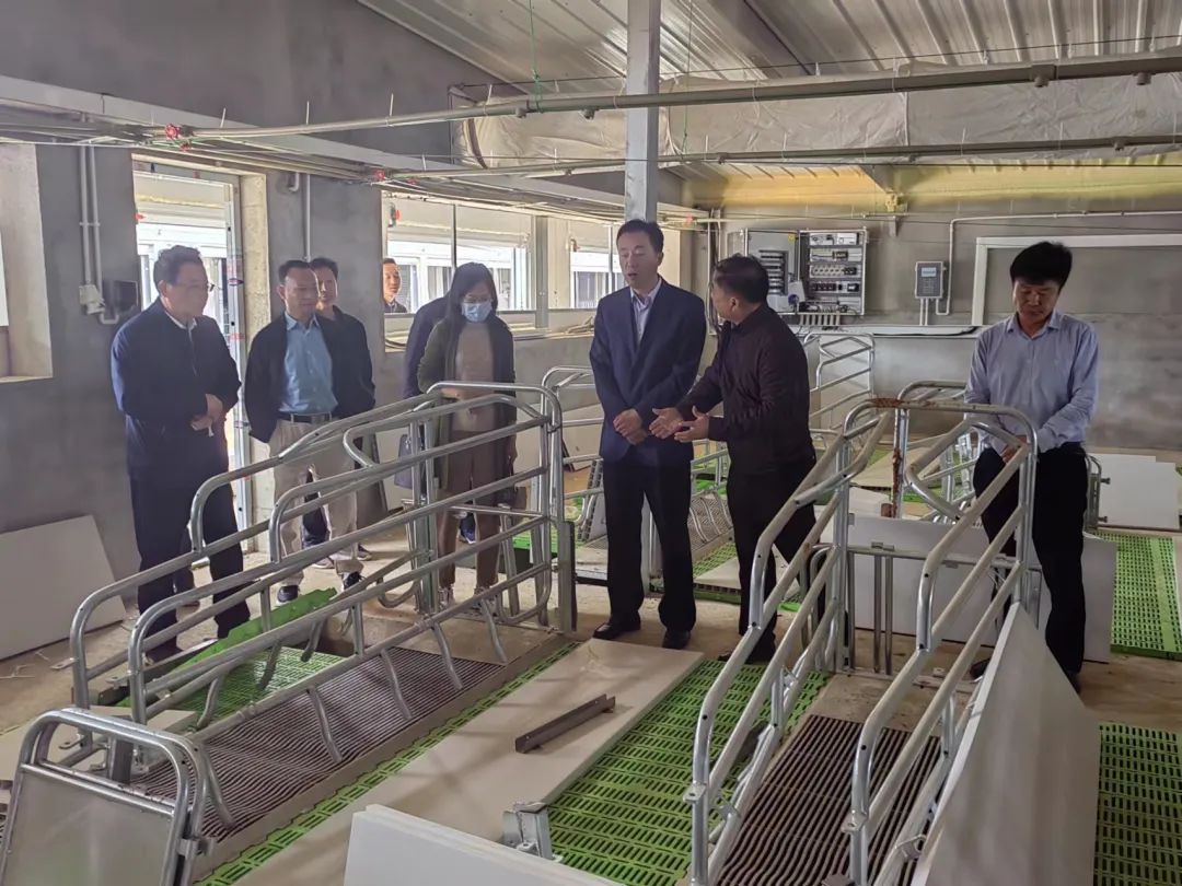 3118云顶集团(中国区)官方网站