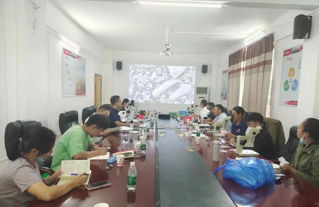 3118云顶集团(中国区)官方网站