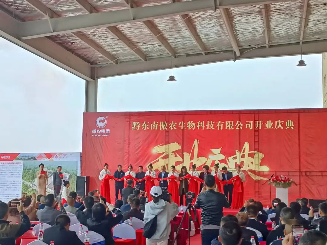 3118云顶集团(中国区)官方网站