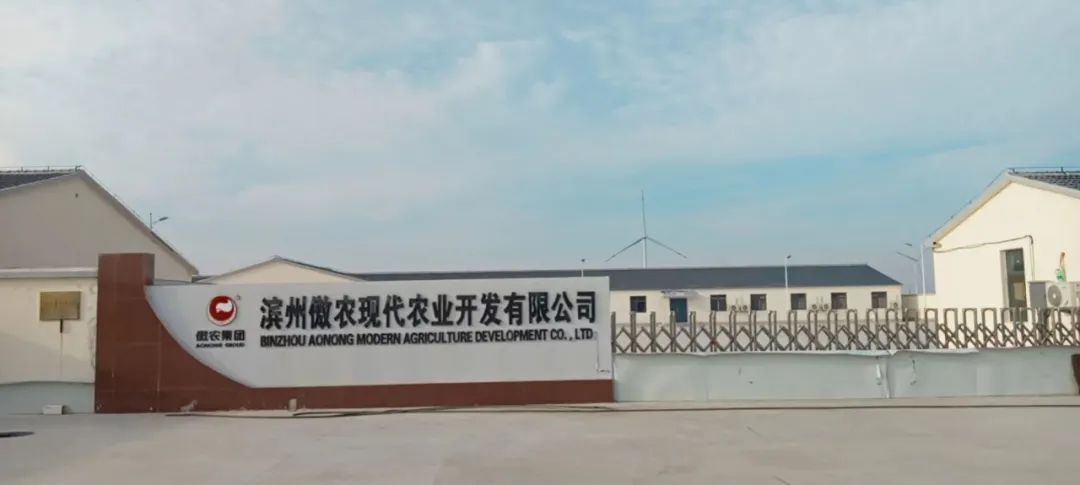3118云顶集团(中国区)官方网站