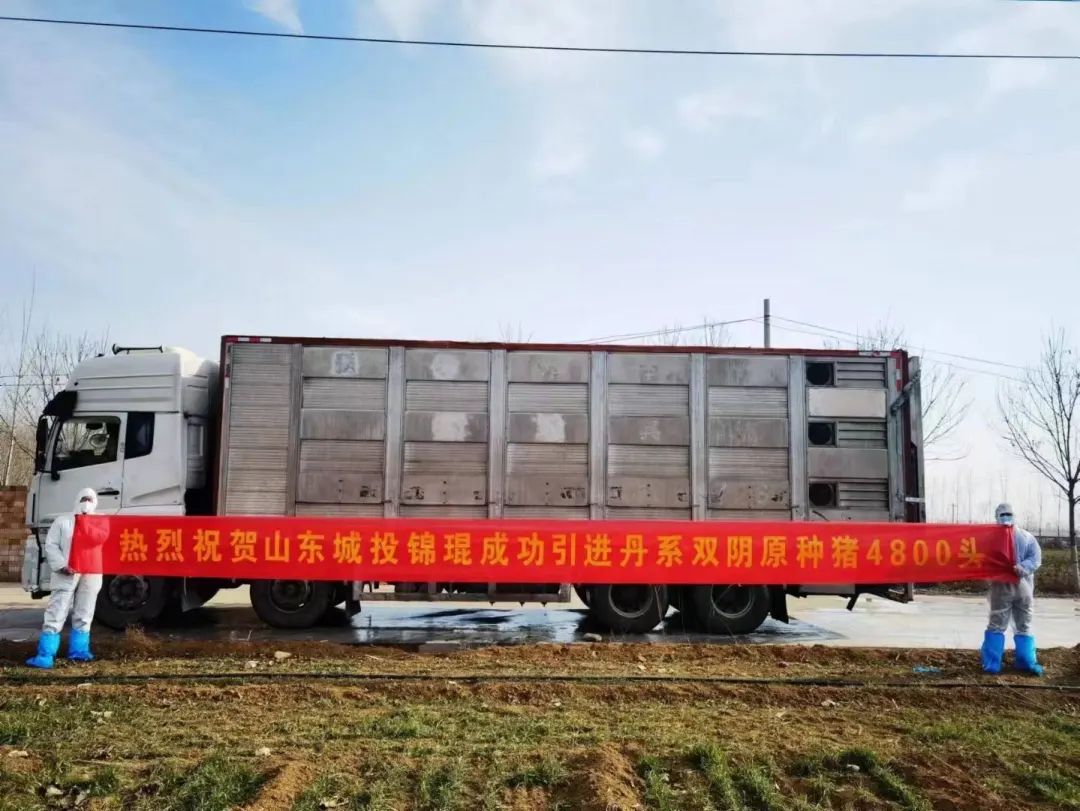 3118云顶集团(中国区)官方网站