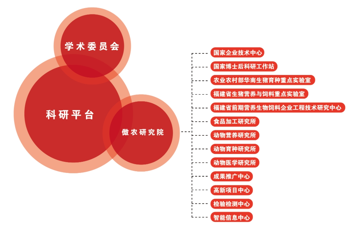 3118云顶集团(中国区)官方网站