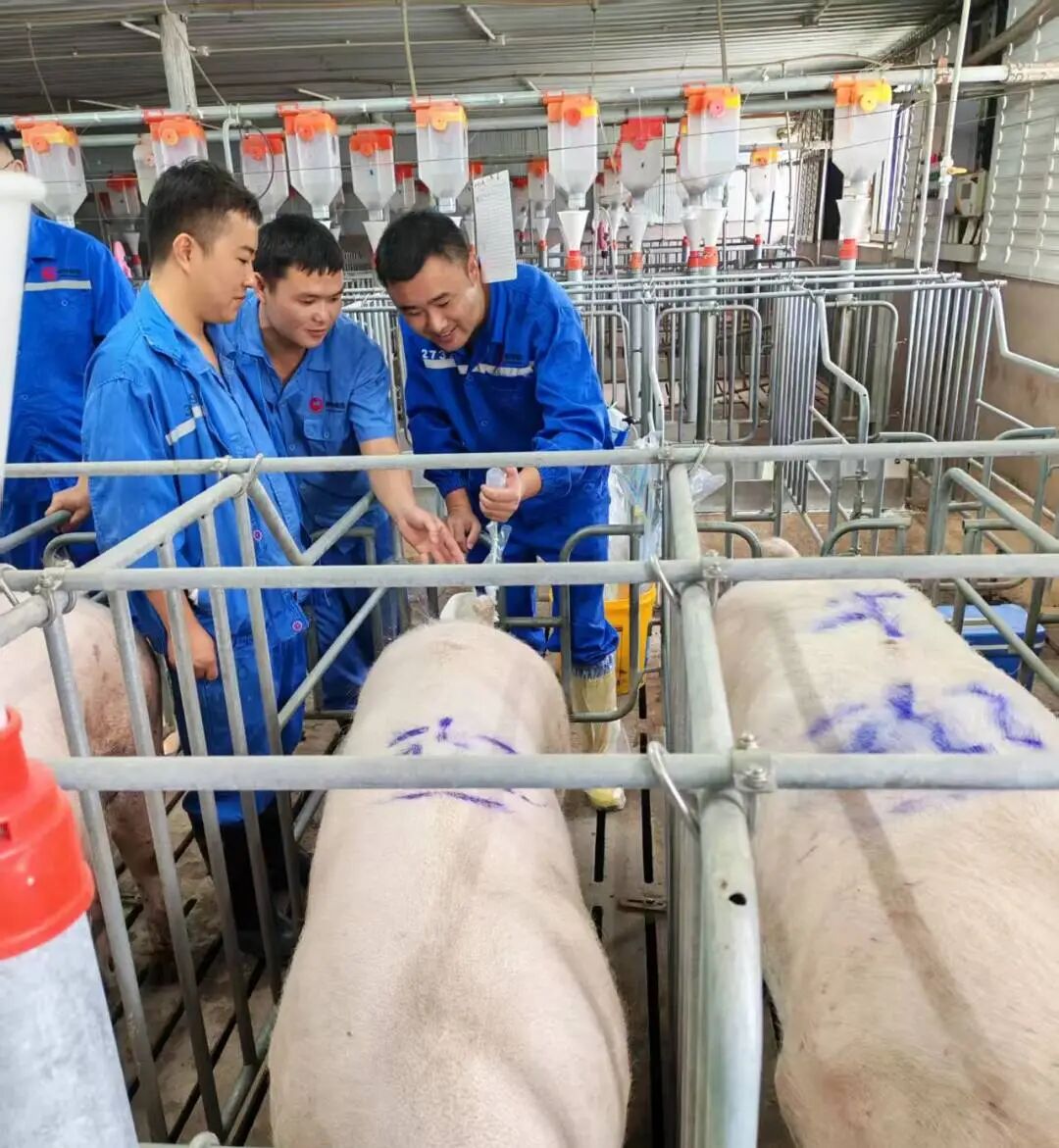 3118云顶集团(中国区)官方网站