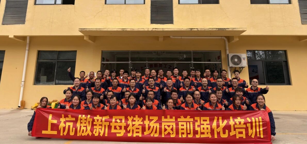 3118云顶集团(中国区)官方网站